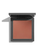 Powder Blush - 113 Dusty Terracotta